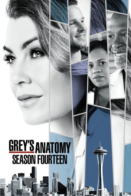 مسلسل Grey’s Anatomy الموسم 14 الحلقة 24 والاخيرة مترجمة
