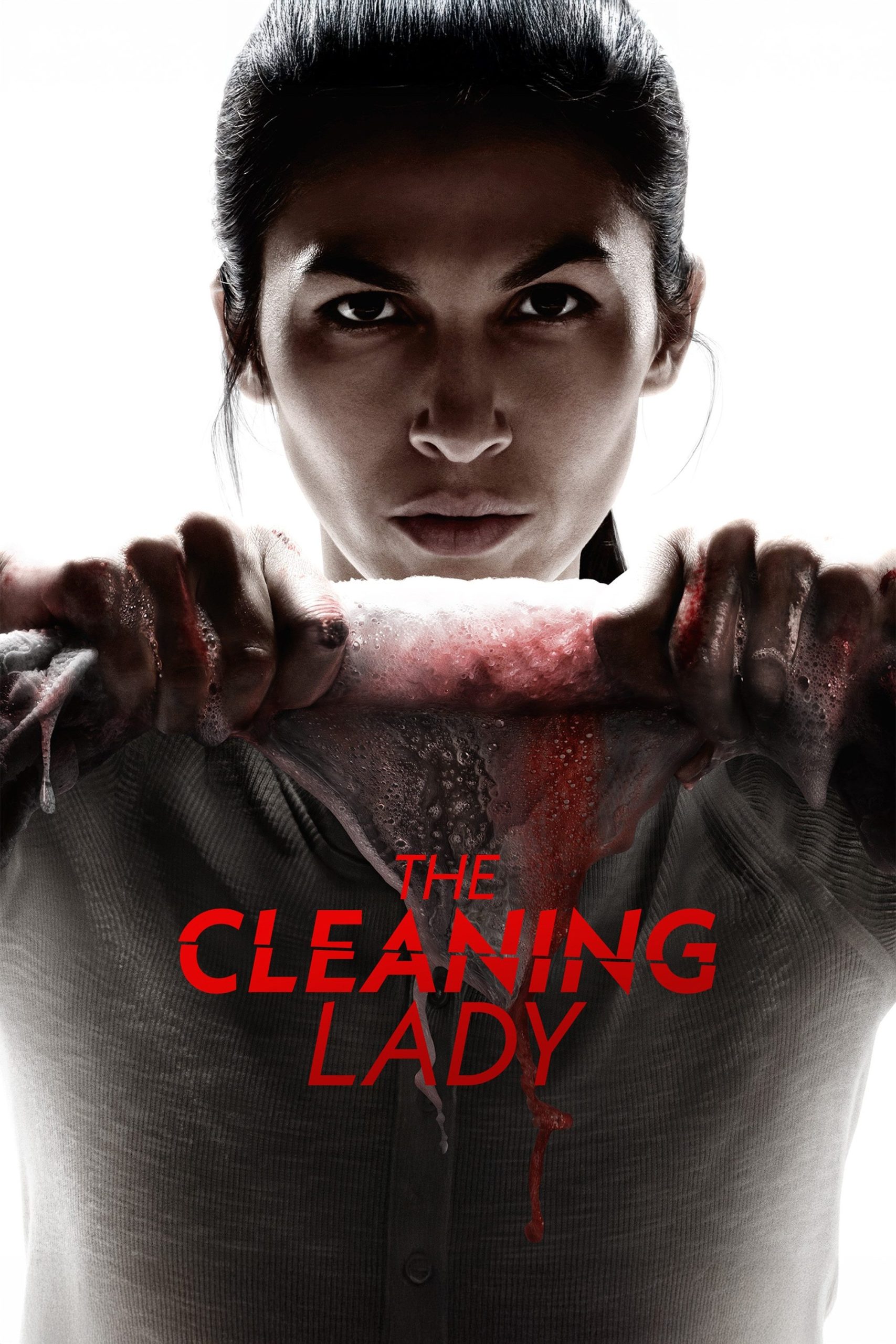 مسلسل The Cleaning Lady مترجم