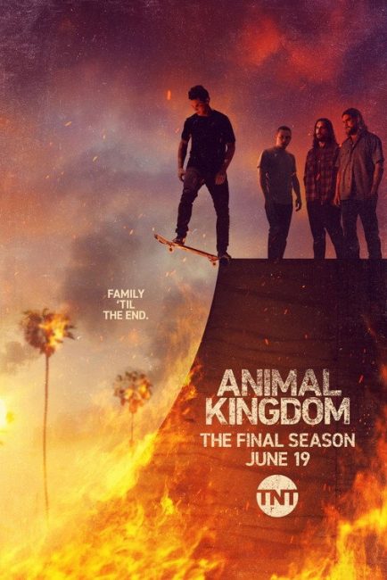 مسلسل Animal Kingdom الموسم السادس الحلقة 2 مترجمة