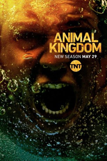 مسلسل Animal Kingdom الموسم الثالث مترجم