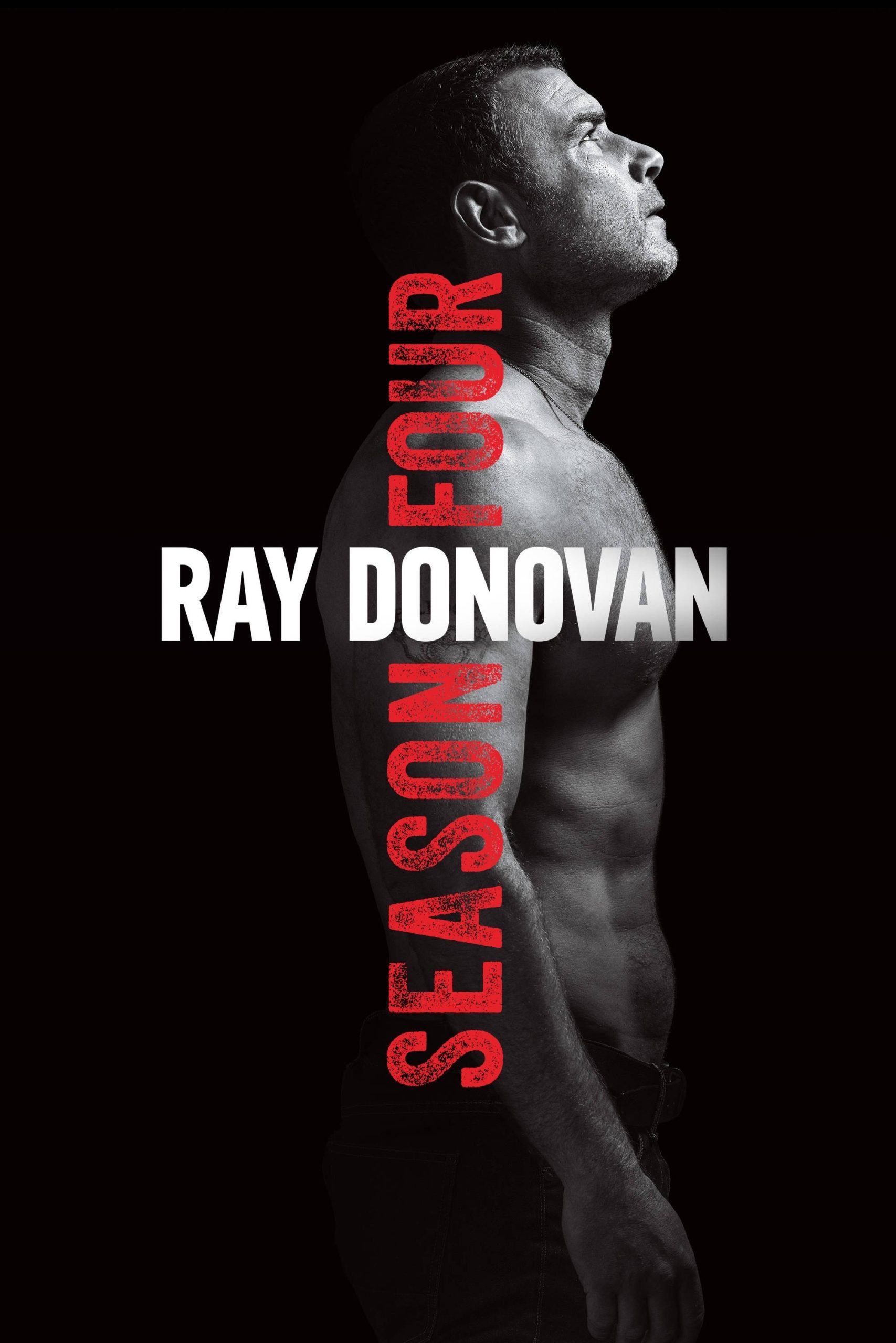 مسلسل Ray Donovan الموسم الرابع مترجم